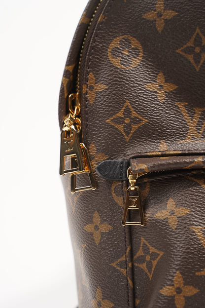 Louis Vuitton Womens Palm Springs Monogram PM