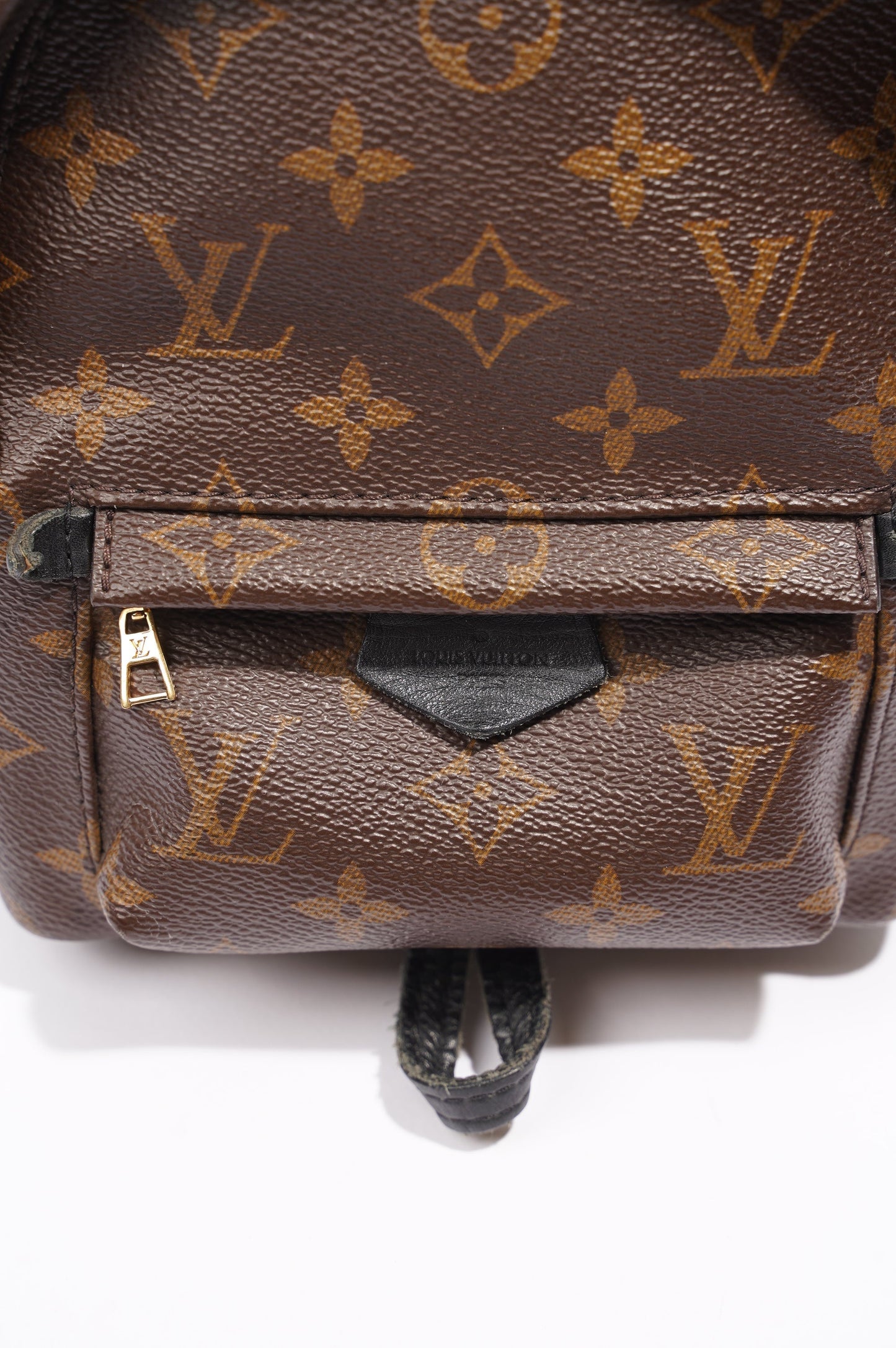 Louis Vuitton Palm Springs Backpack Monogram Canvas Mini