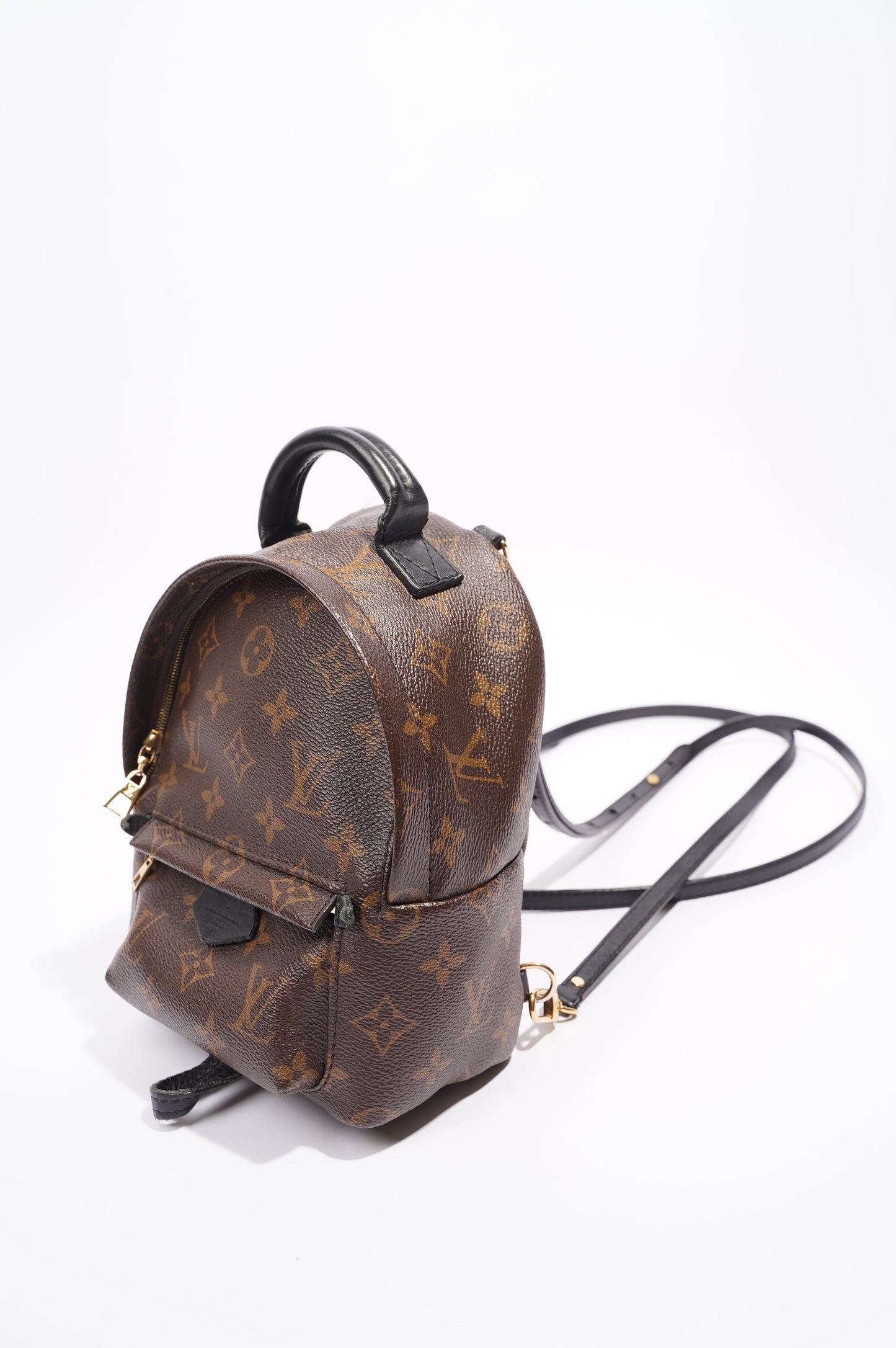 Louis Vuitton Palm Springs Backpack Monogram Canvas Mini