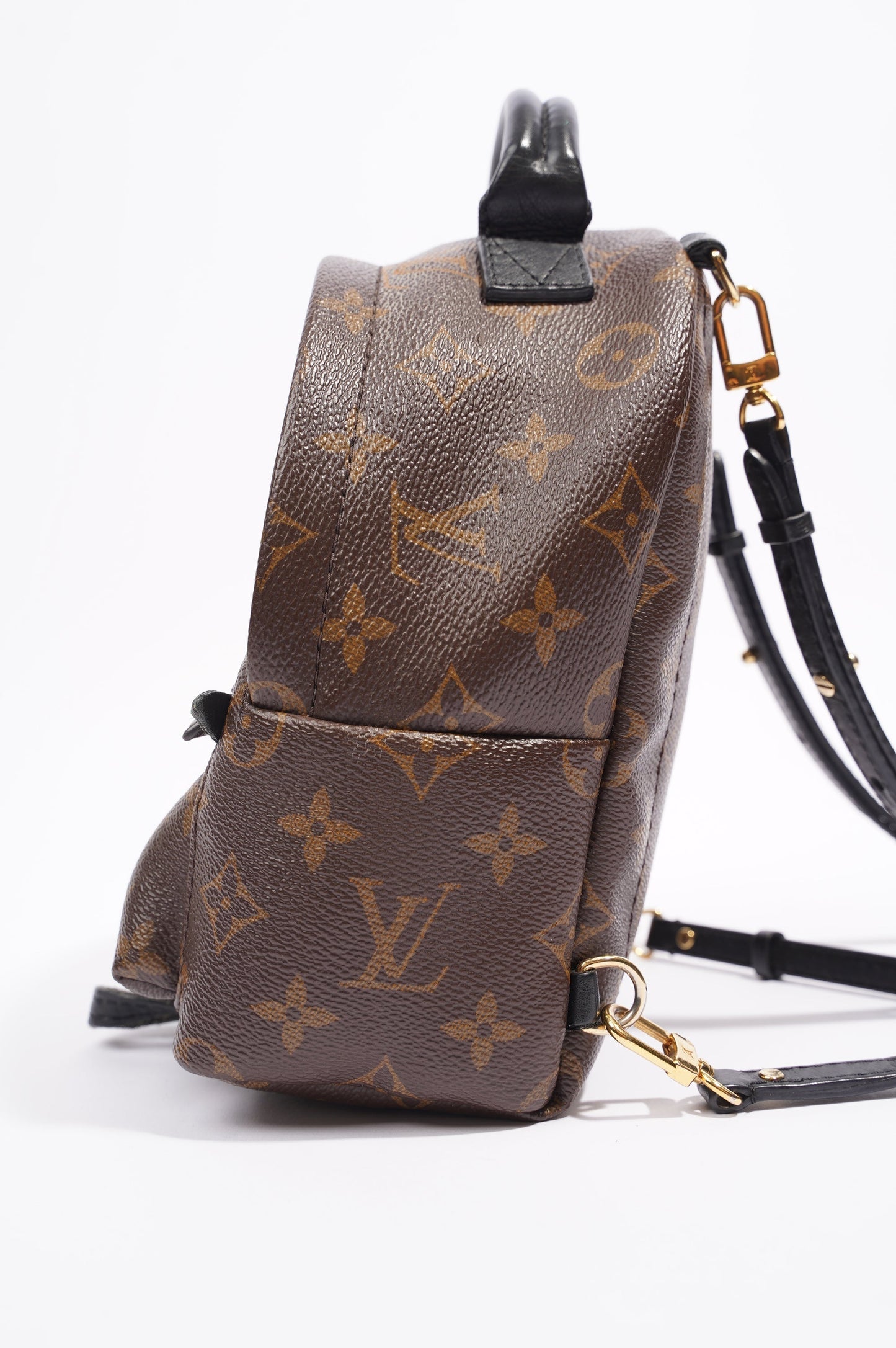 Louis Vuitton Palm Springs Backpack Monogram Canvas Mini