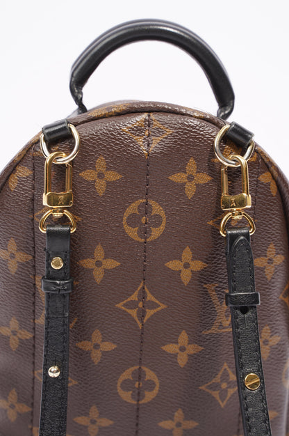 Louis Vuitton Palm Springs Backpack Monogram Canvas Mini