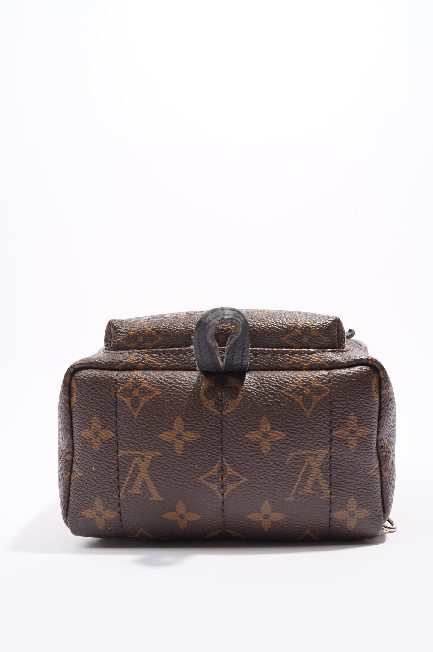 Louis Vuitton Palm Springs Backpack Monogram Canvas Mini