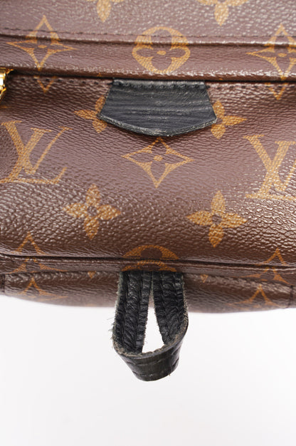 Louis Vuitton Palm Springs Backpack Monogram Canvas Mini