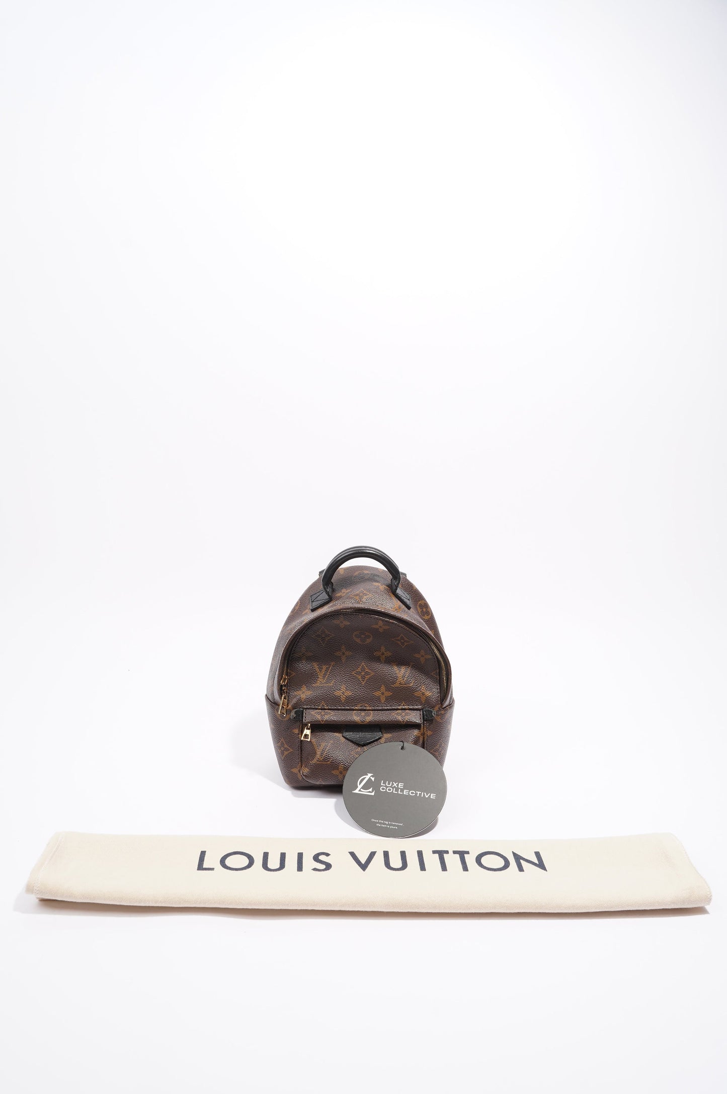 Louis Vuitton Palm Springs Backpack Monogram Canvas Mini