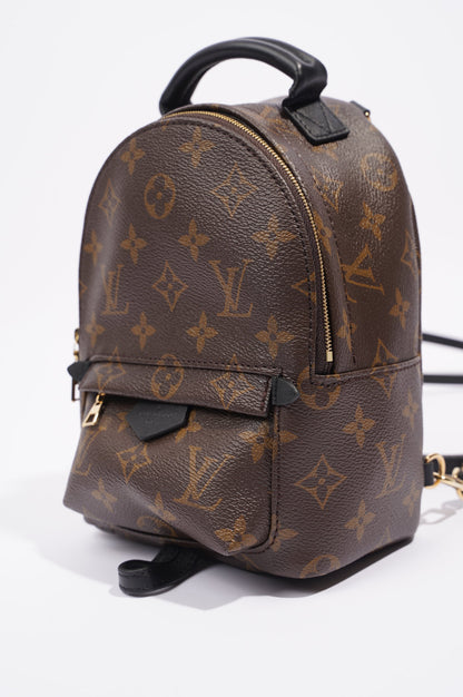 Louis Vuitton Womens Palm Springs Monogram Mini
