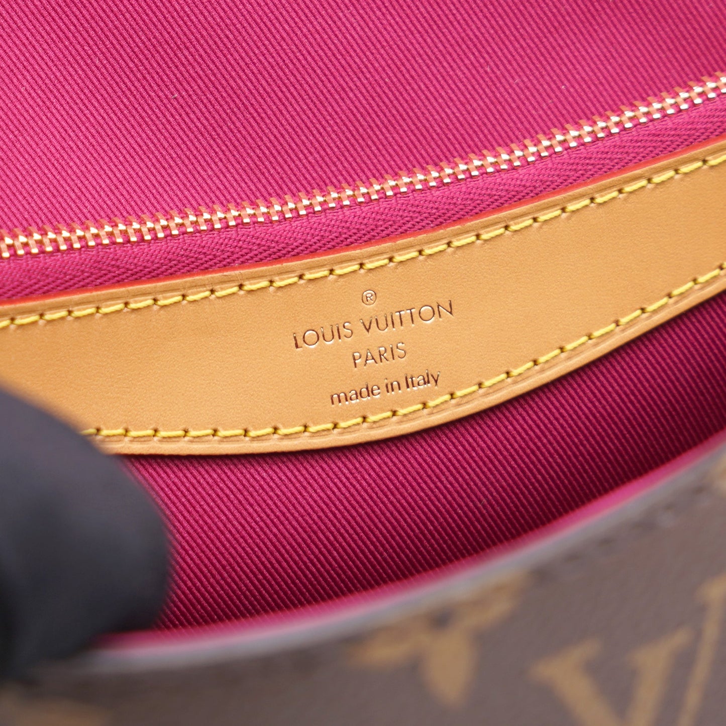 Louis-vuitton Diane Monogram Canvas Shoulder Bag