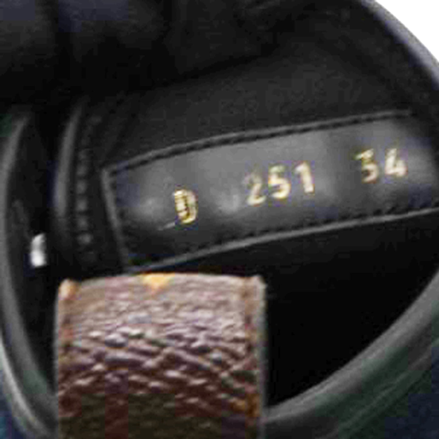 Louis-vuitton Canvas LV Squad Sneaker Boots Black Size34