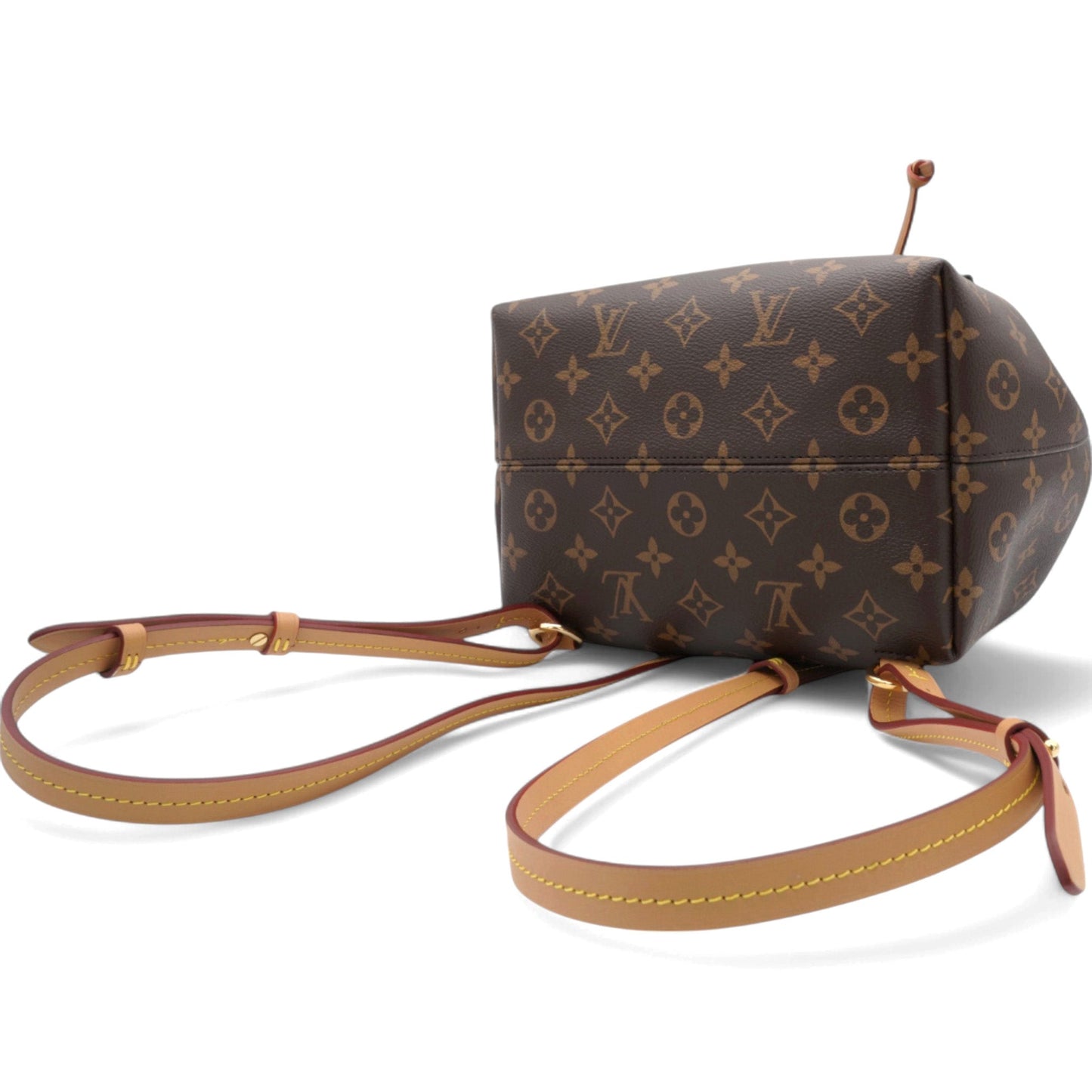 Louis-vuitton Monogram Montsouris PM Backpack