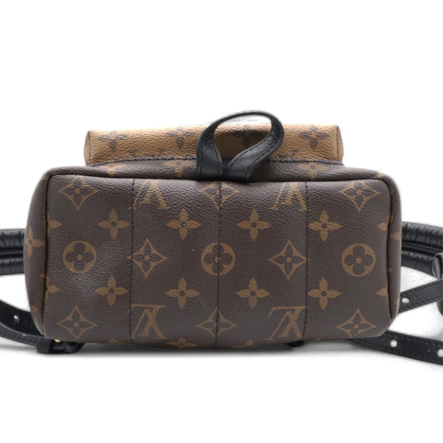 Louis-vuitton Reverse Monogram Palm Springs Backpack PM