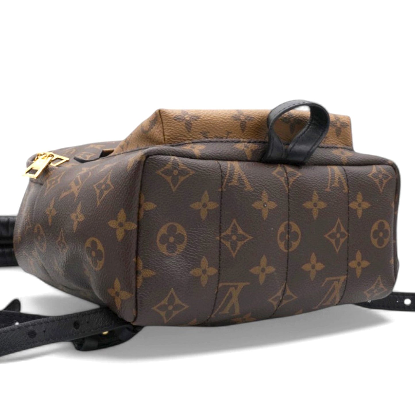 Louis-vuitton Reverse Monogram Palm Springs Backpack PM