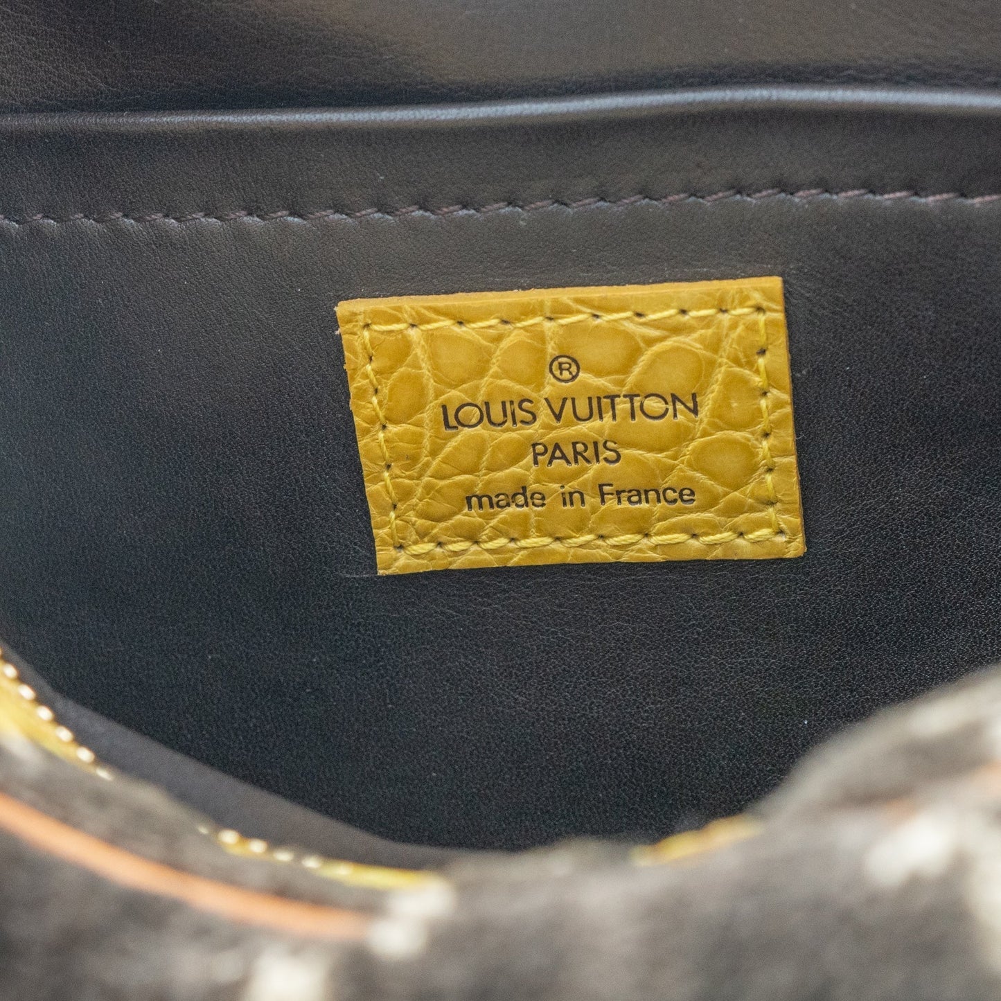 Louis Vuitton TROMPE L'OEIL VELVET HANDBAG