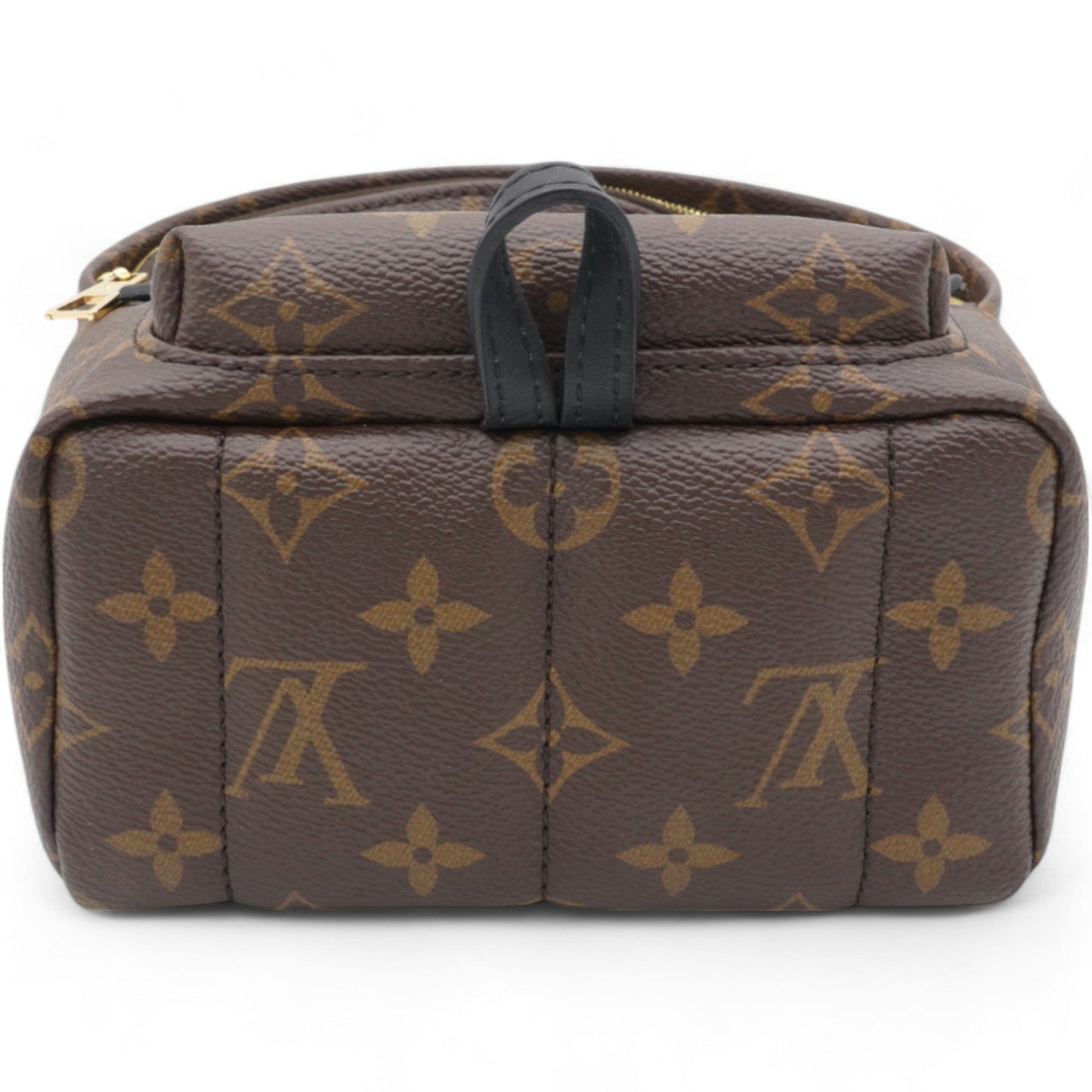 Louis-vuitton Monogram Palm Springs Backpack Mini