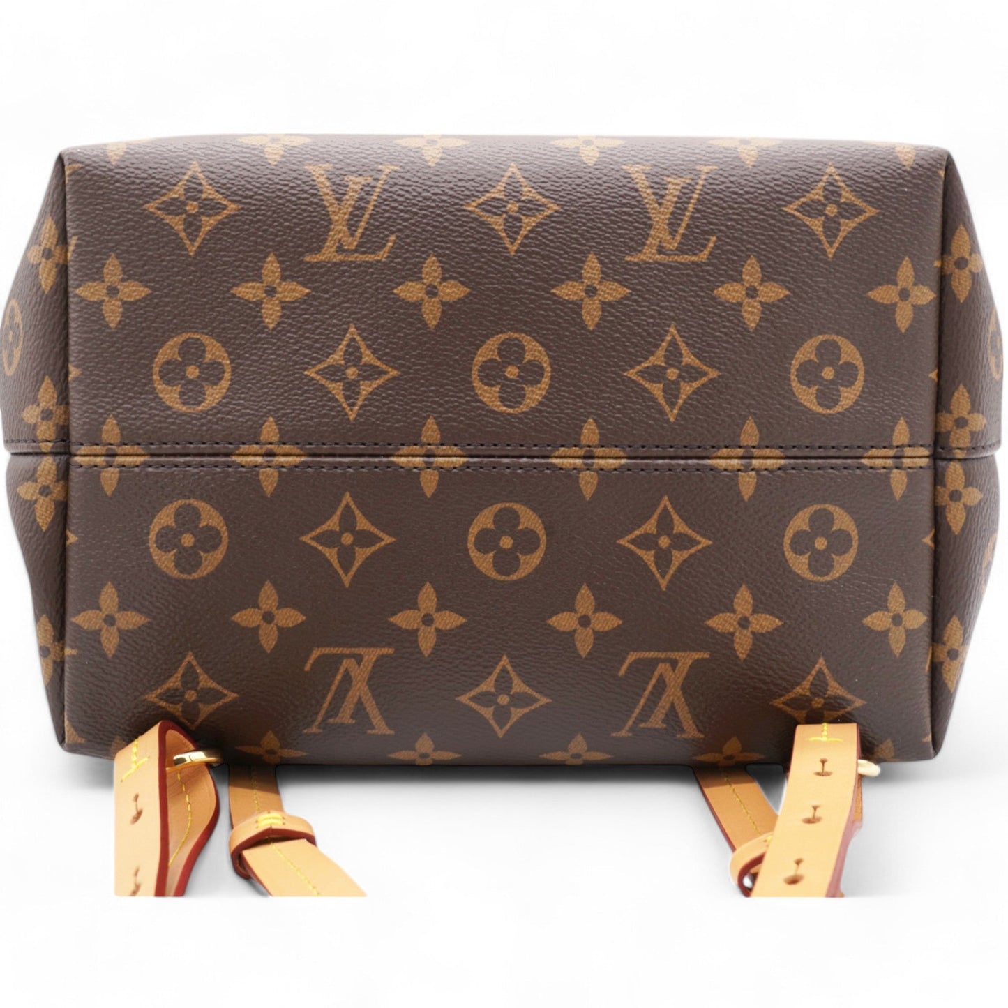 Louis-vuitton Monogram Montsouris Nano