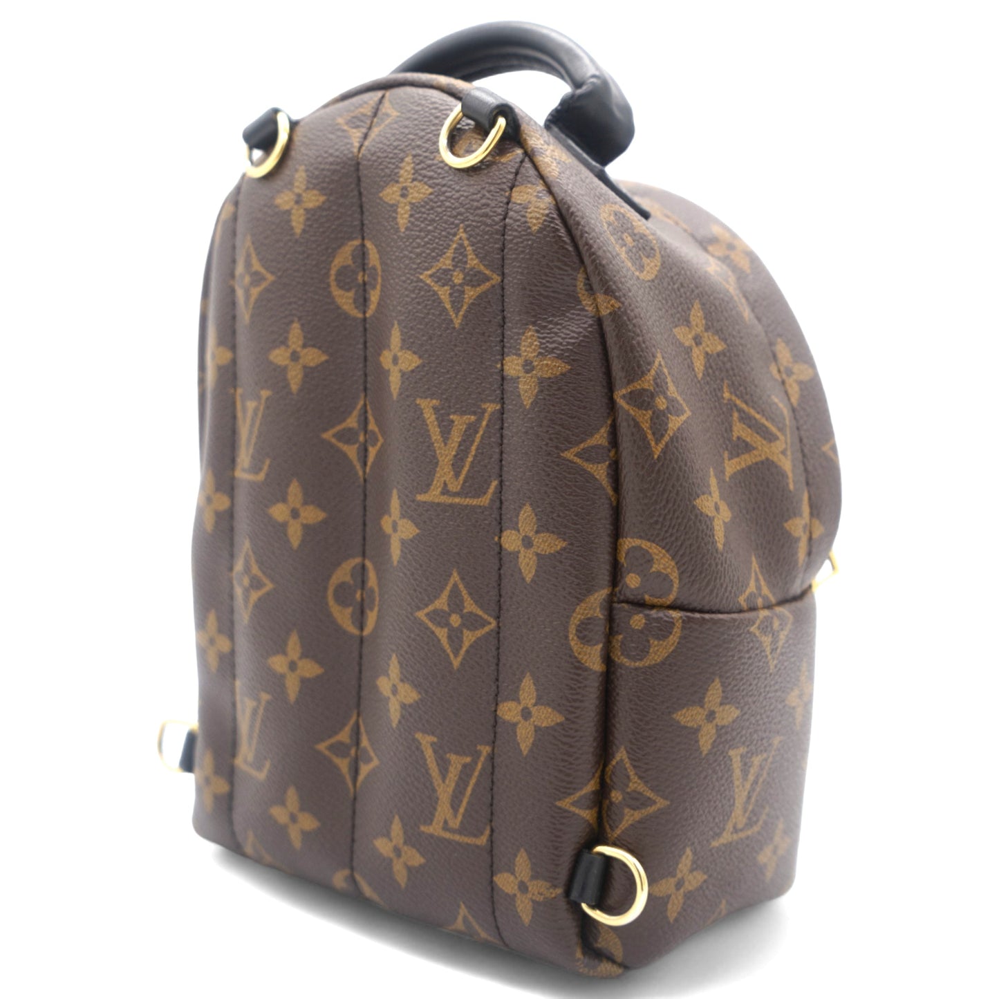 Louis-vuitton Palm Springs Backpack Mini