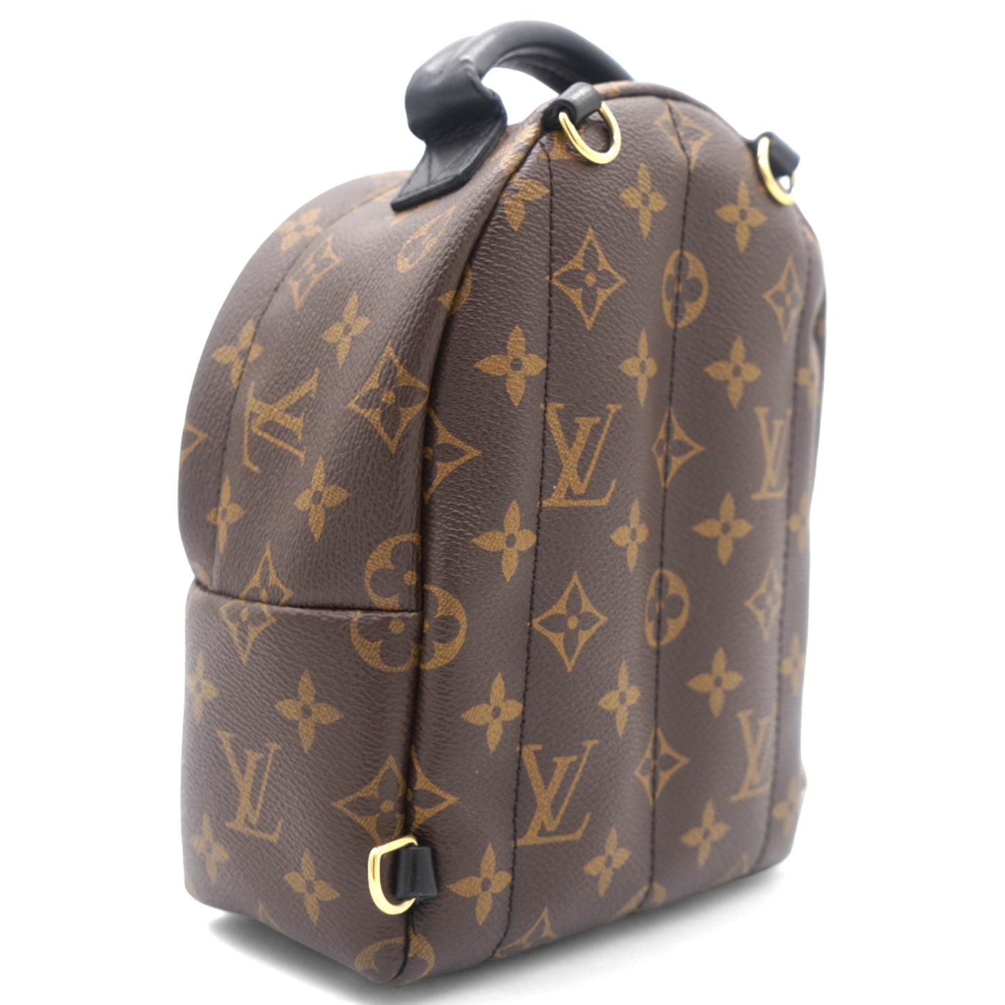 Louis-vuitton Palm Springs Backpack Mini