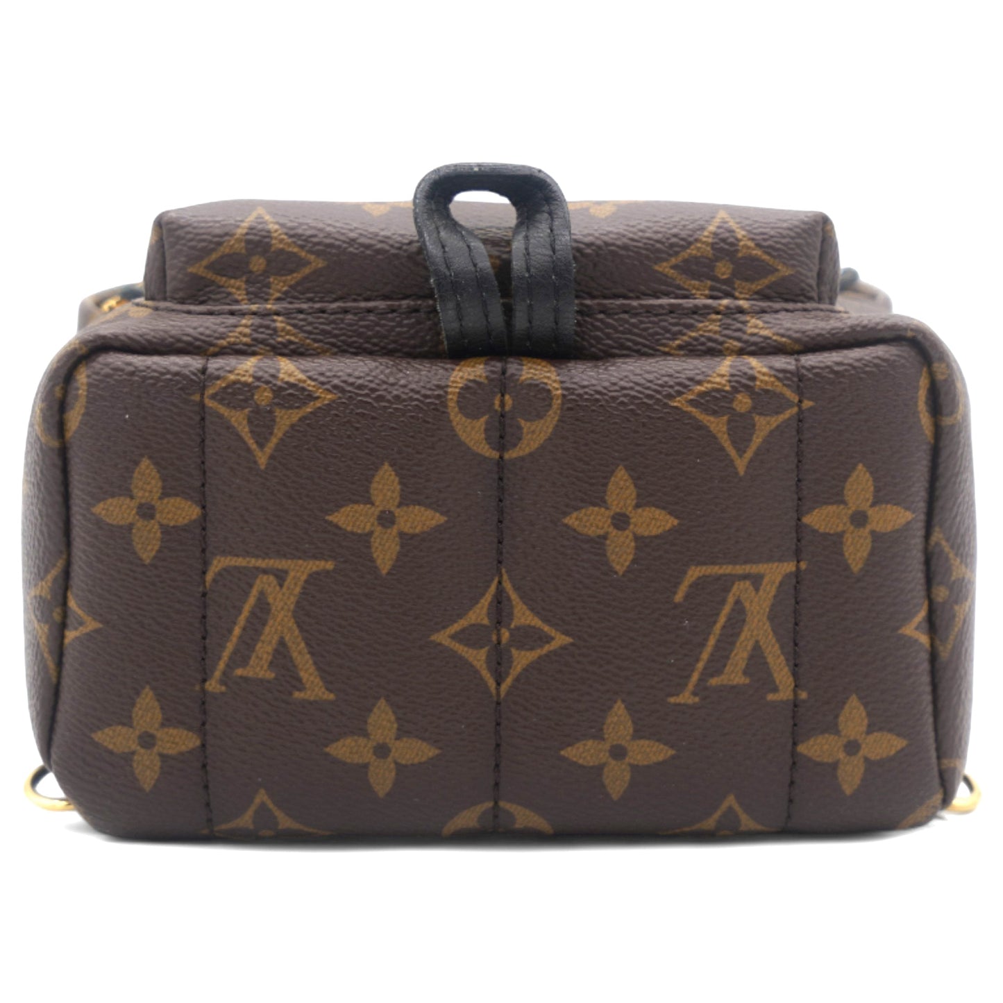 Louis-vuitton Palm Springs Backpack Mini
