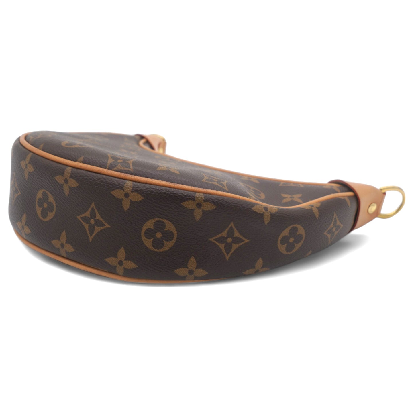 Louis-vuitton Loop Bag Monogram Canvas Ghw