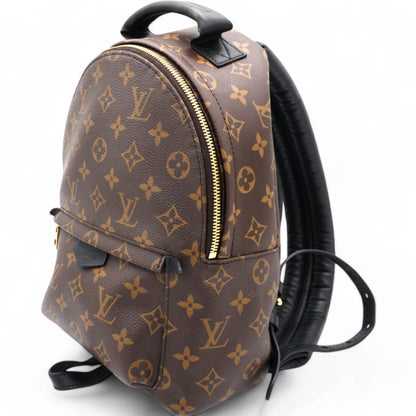 Louis-vuitton Monogram Palm Springs Backpack PM