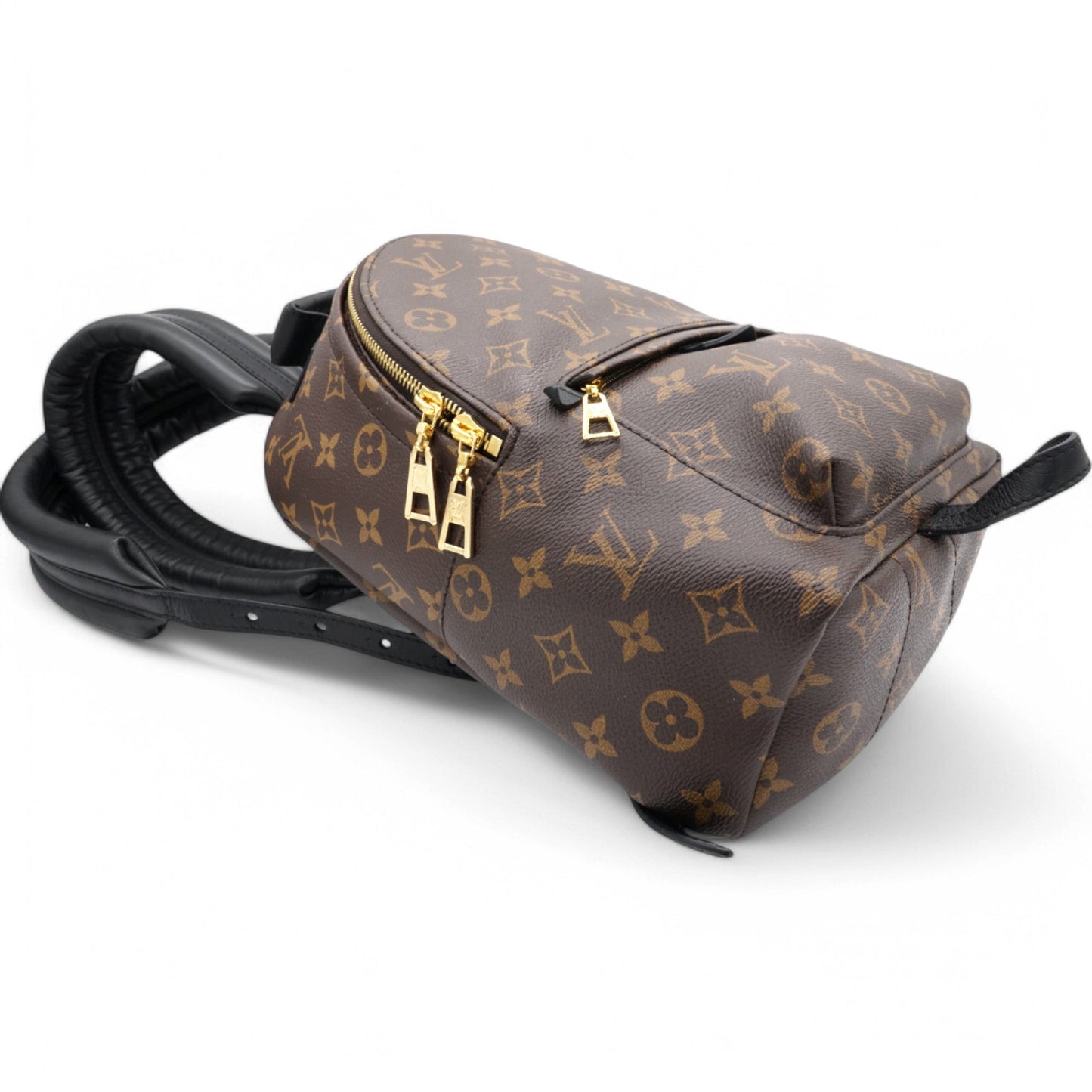 Louis-vuitton Monogram Palm Springs Backpack PM