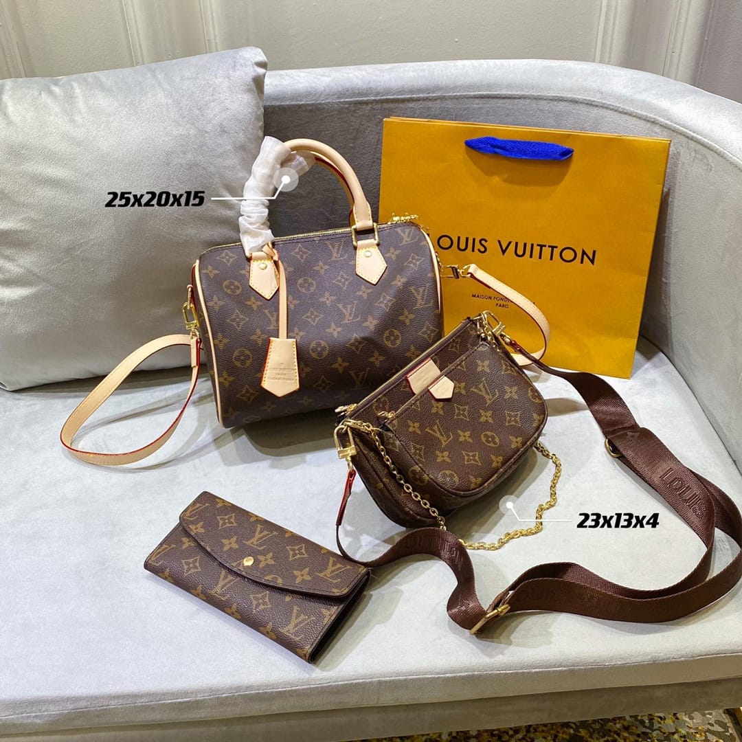 Louis Vuitton Speedy Handbag Sets