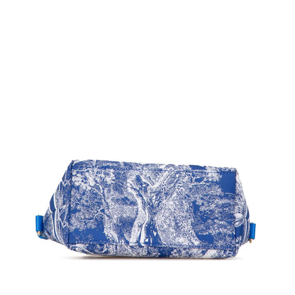 Small Technical Fabric Toile de Jouy Reverse DiorTravel Nomad Pouch