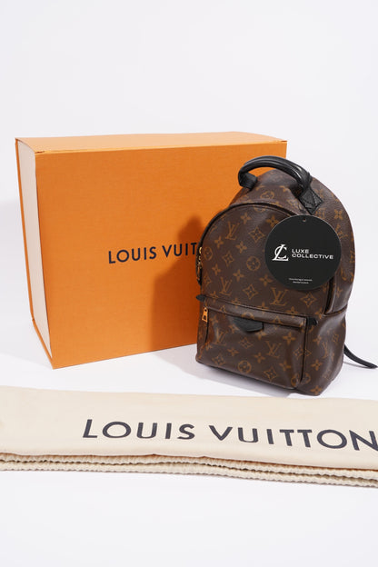 Louis Vuitton Palmsprings PM Monogram Coated Canvas