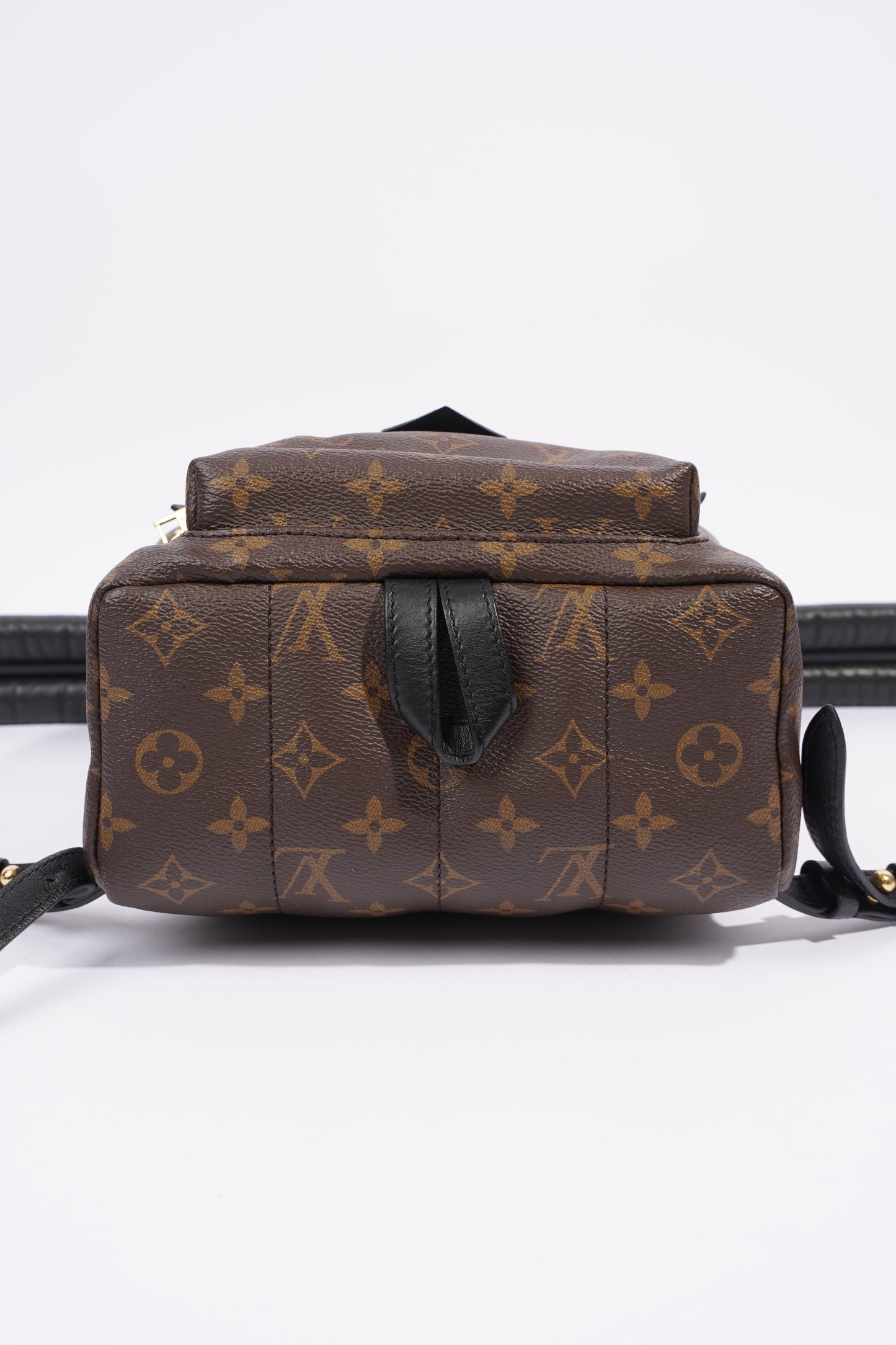 Louis Vuitton Palmsprings PM Monogram Coated Canvas