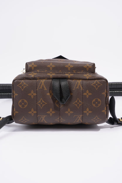 Louis Vuitton Palmsprings PM Monogram Coated Canvas