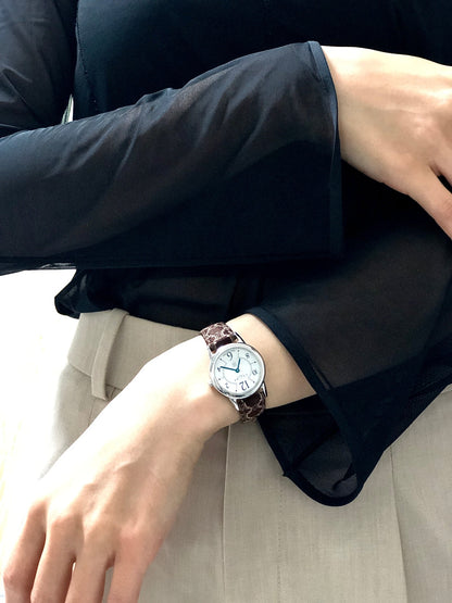 CELINE  Watch Brown Vintage 6hyr75