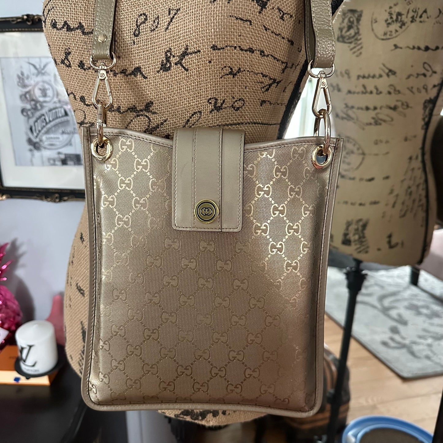 The Swan Messenger -Orvis bags Gucci in Gold