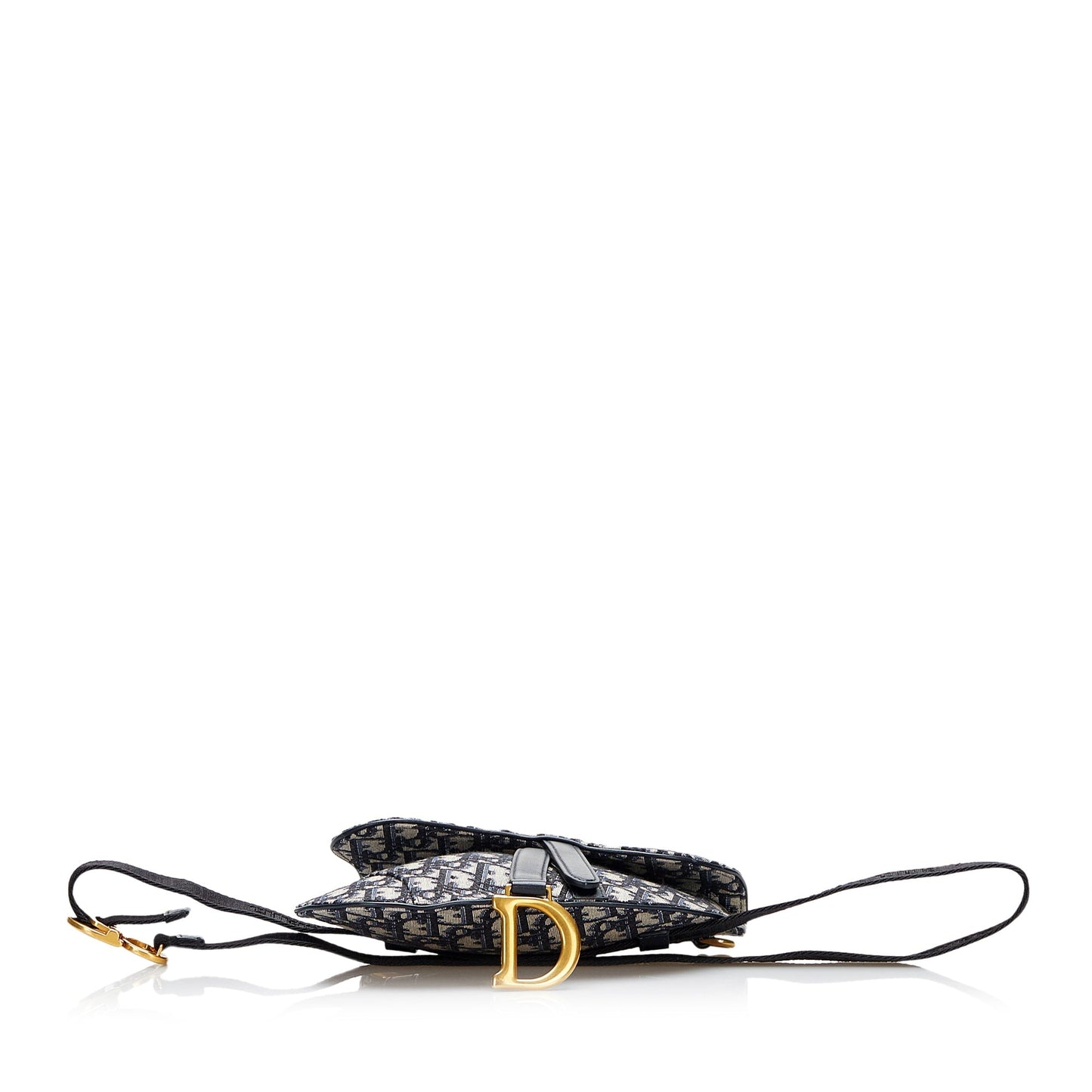 Oblique Canvas Saddle Belt Bag