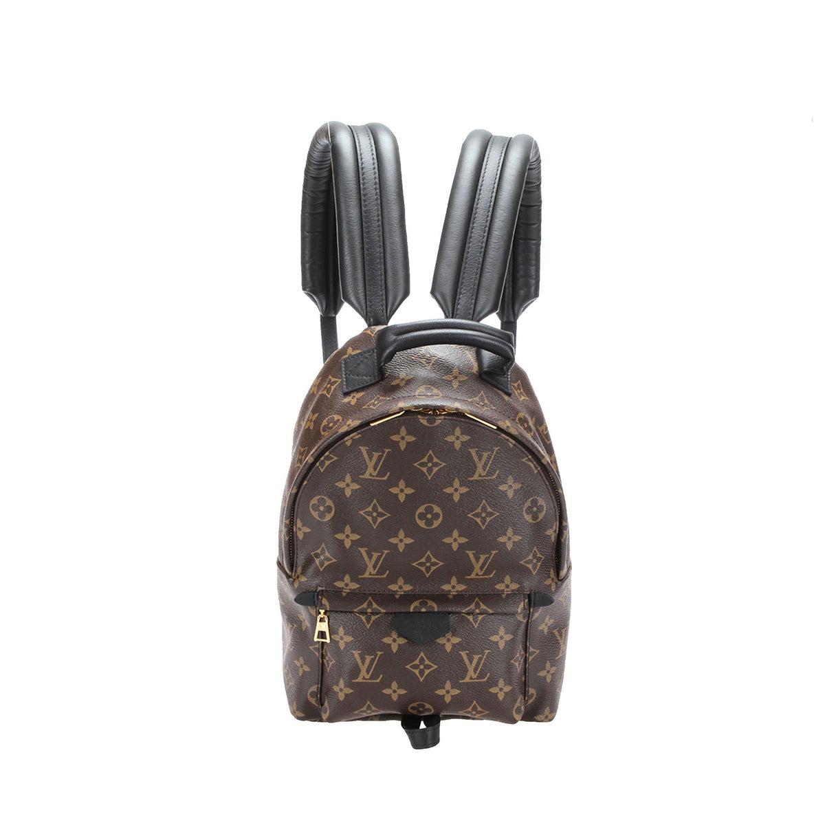 Louis-Vuitton Monogram Palm Springs PM Brown