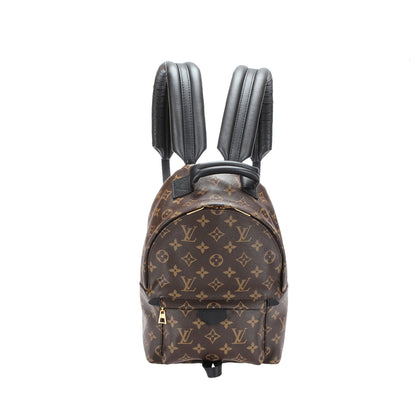 Louis-Vuitton Monogram Palm Springs PM Brown