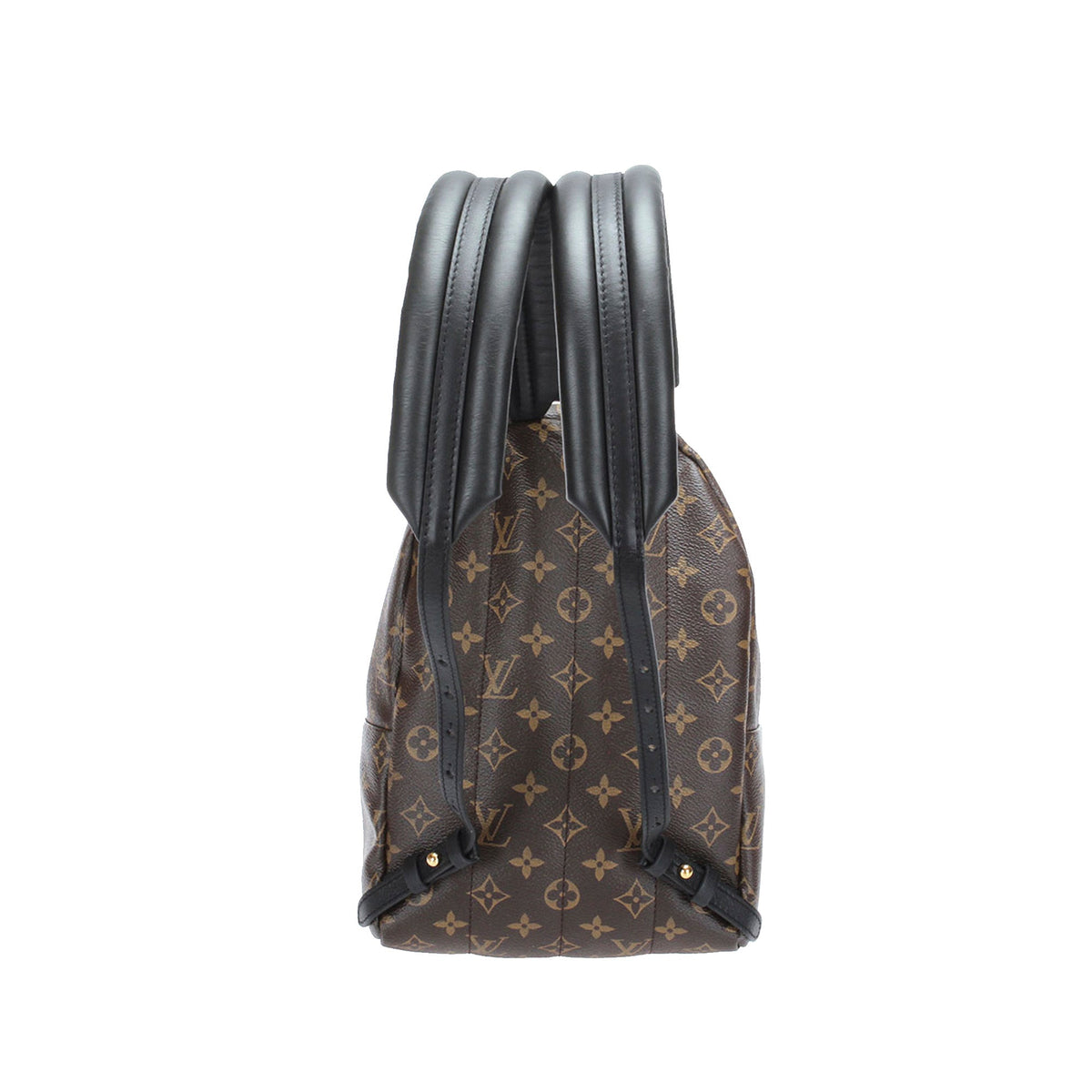 Louis-Vuitton Monogram Palm Springs PM Brown