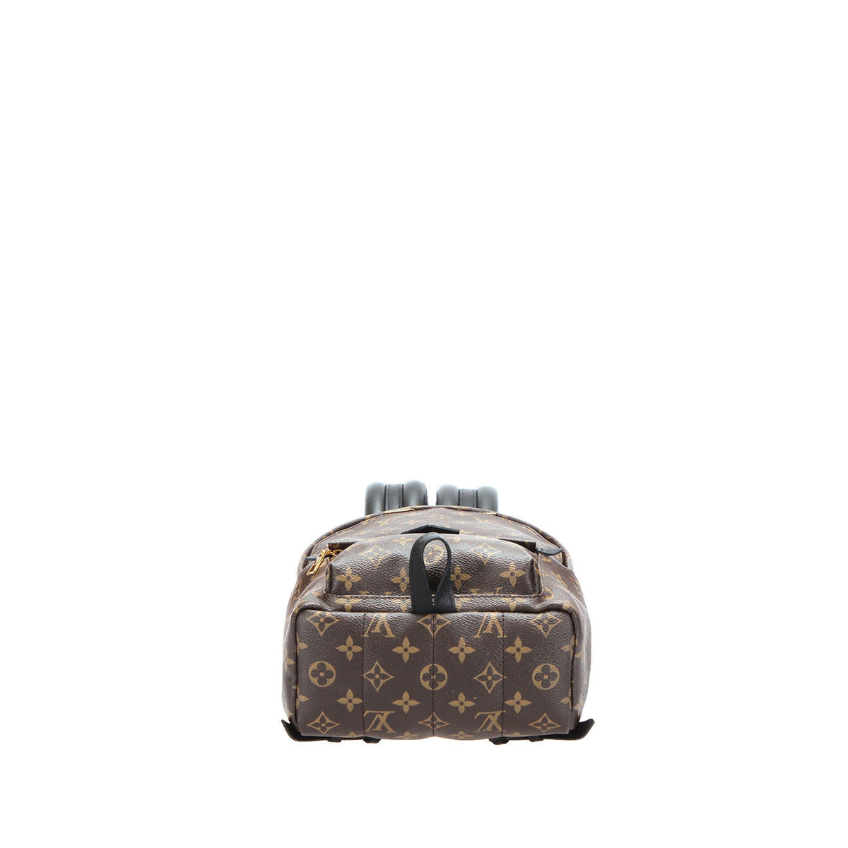 Louis-Vuitton Monogram Palm Springs PM Brown