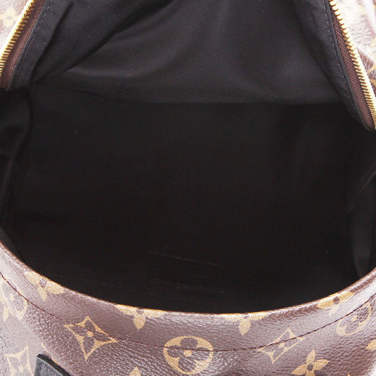 Louis-Vuitton Monogram Palm Springs PM Brown