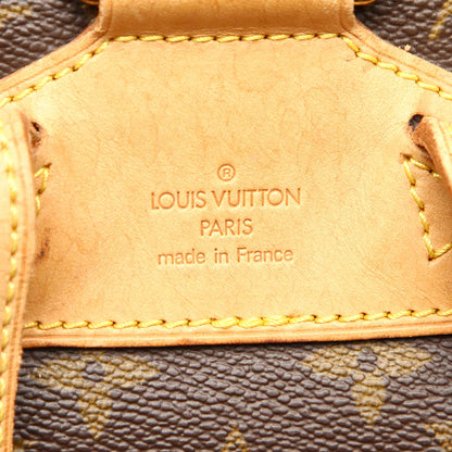 Louis-Vuitton Monogram Montsouris MM Brown