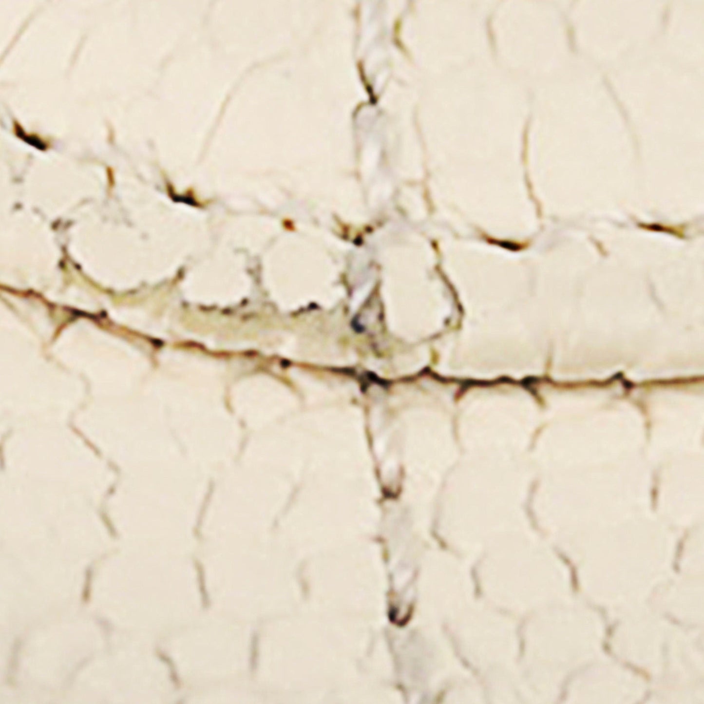 CC Timeless Caviar Leather Satchel in White with SHW