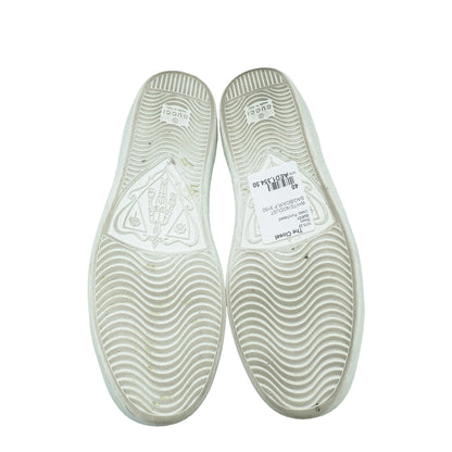 Gucci White Ace Web Sneakers 40