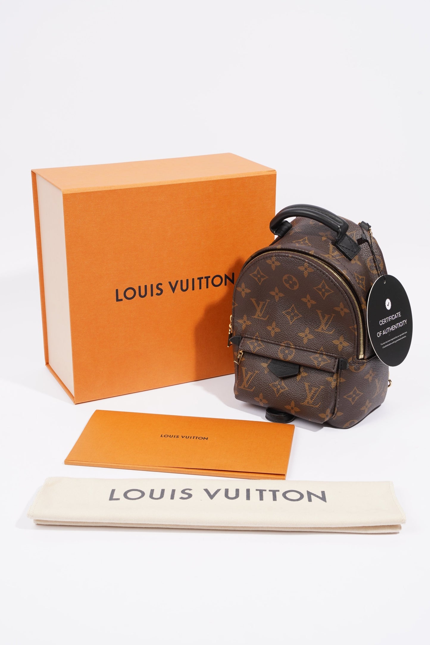 Louis Vuitton Palm Springs Mini Backpack Monogram Coated Canvas