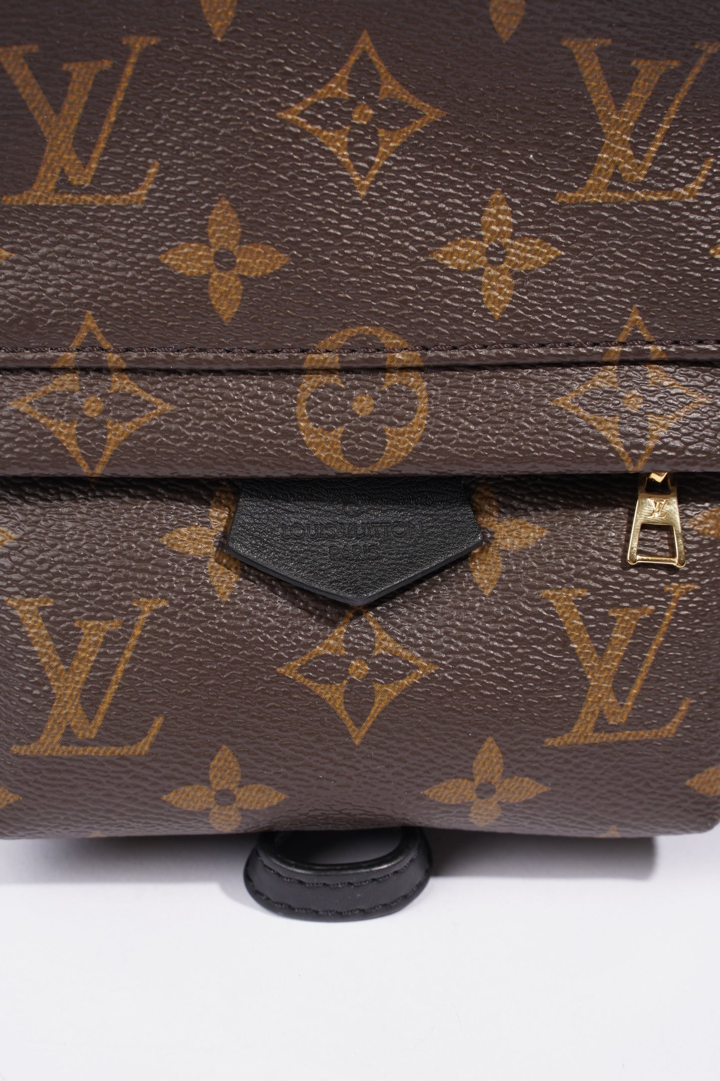 Louis Vuitton Palm Springs Mini Backpack Monogram Coated Canvas