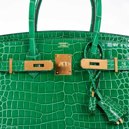 Hermès Birkin 30 Cactus Porosus Crocodile Gold Hardware