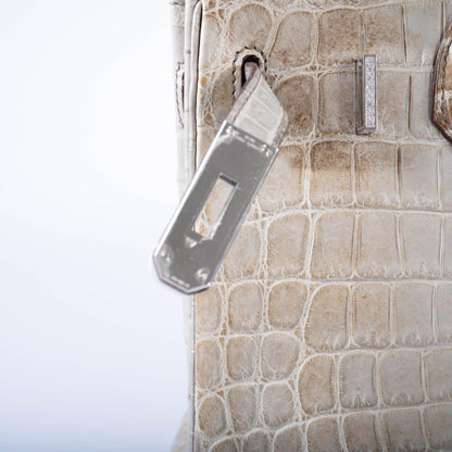 Hermès Birkin 30 Gris Cendre Himalaya Niloticus Crocodile 18K White Gold & Diamond Hardware