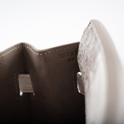 Hermès Birkin 30 Matte Himalayan Niloticus Crocodile Palladium Hardware
