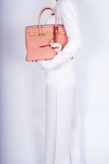 Hermès Birkin 30 Terre Cuite Ostrich Gold Hardware