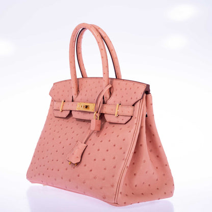 Hermès Birkin 30 Terre Cuite Ostrich Gold Hardware
