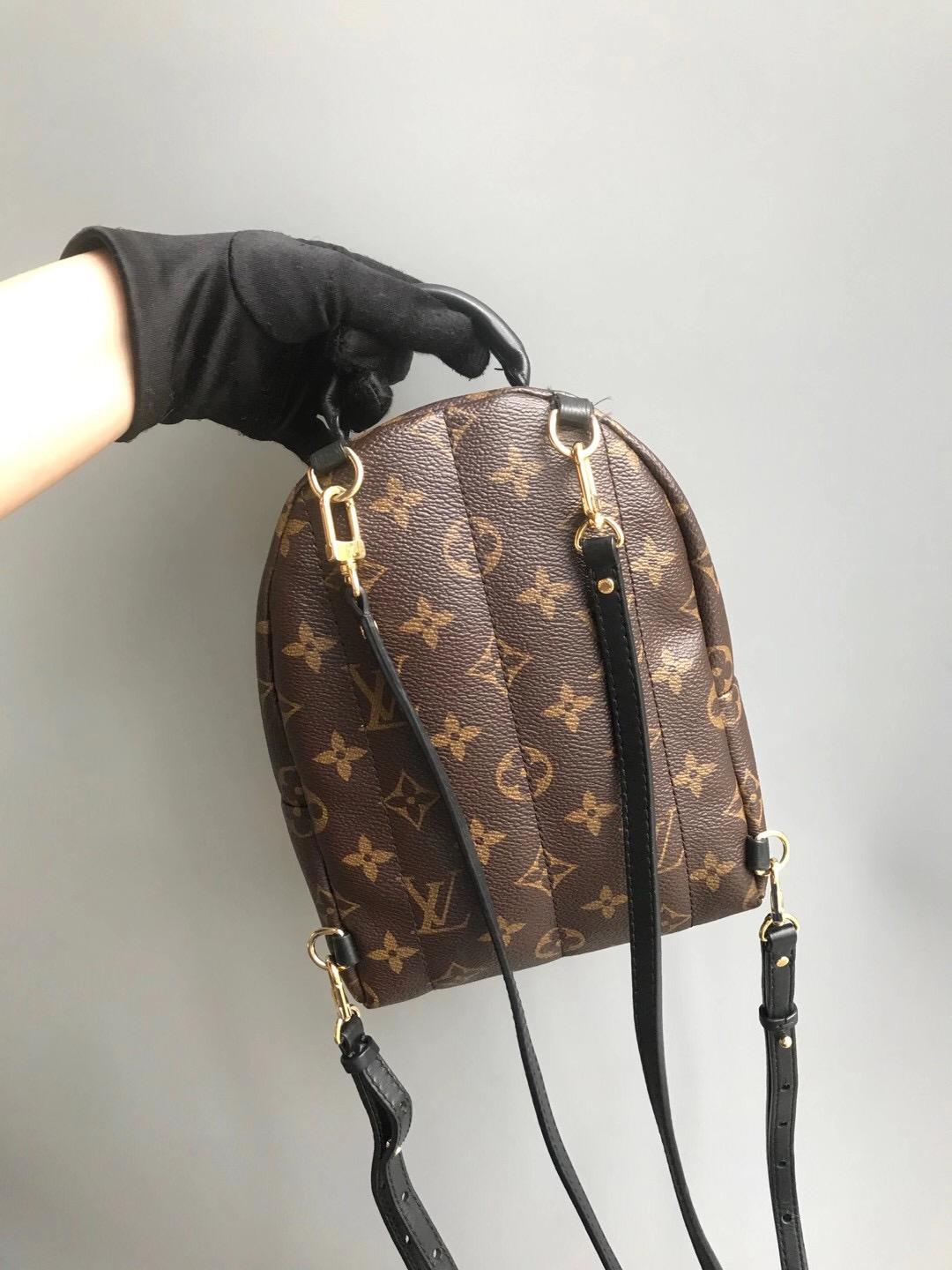 Louis-Vuitton Palm Springs Monogram Mini Canvas Backpack