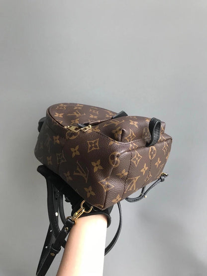 Louis-Vuitton Palm Springs Monogram Mini Canvas Backpack