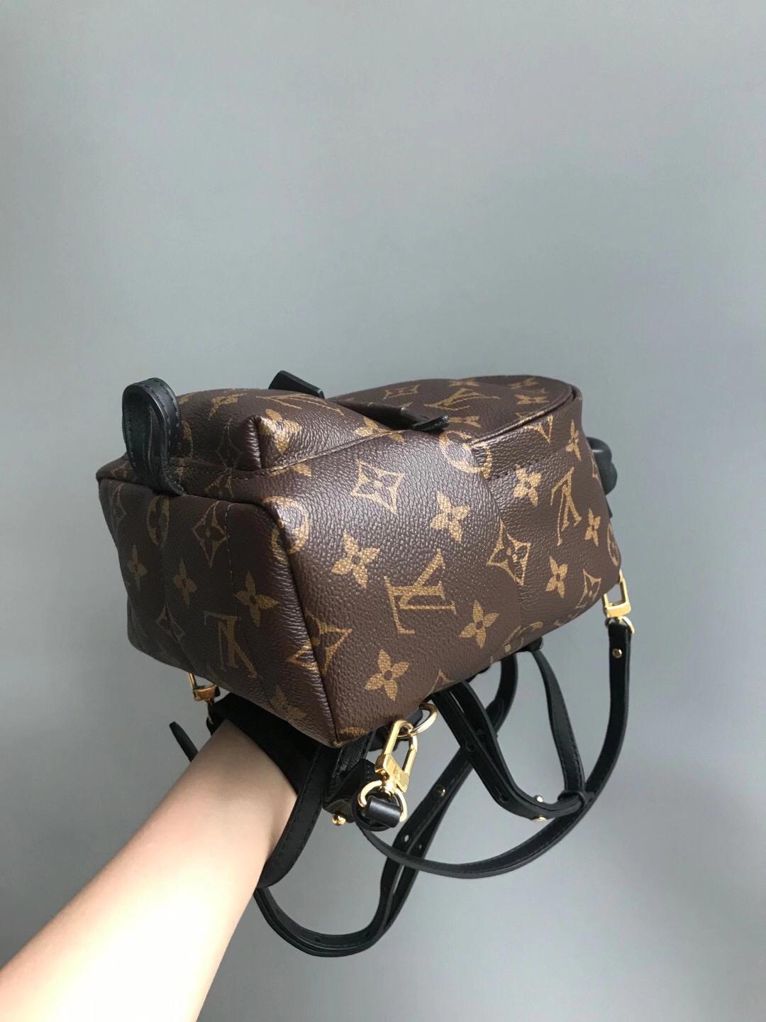 Louis-Vuitton Palm Springs Monogram Mini Canvas Backpack