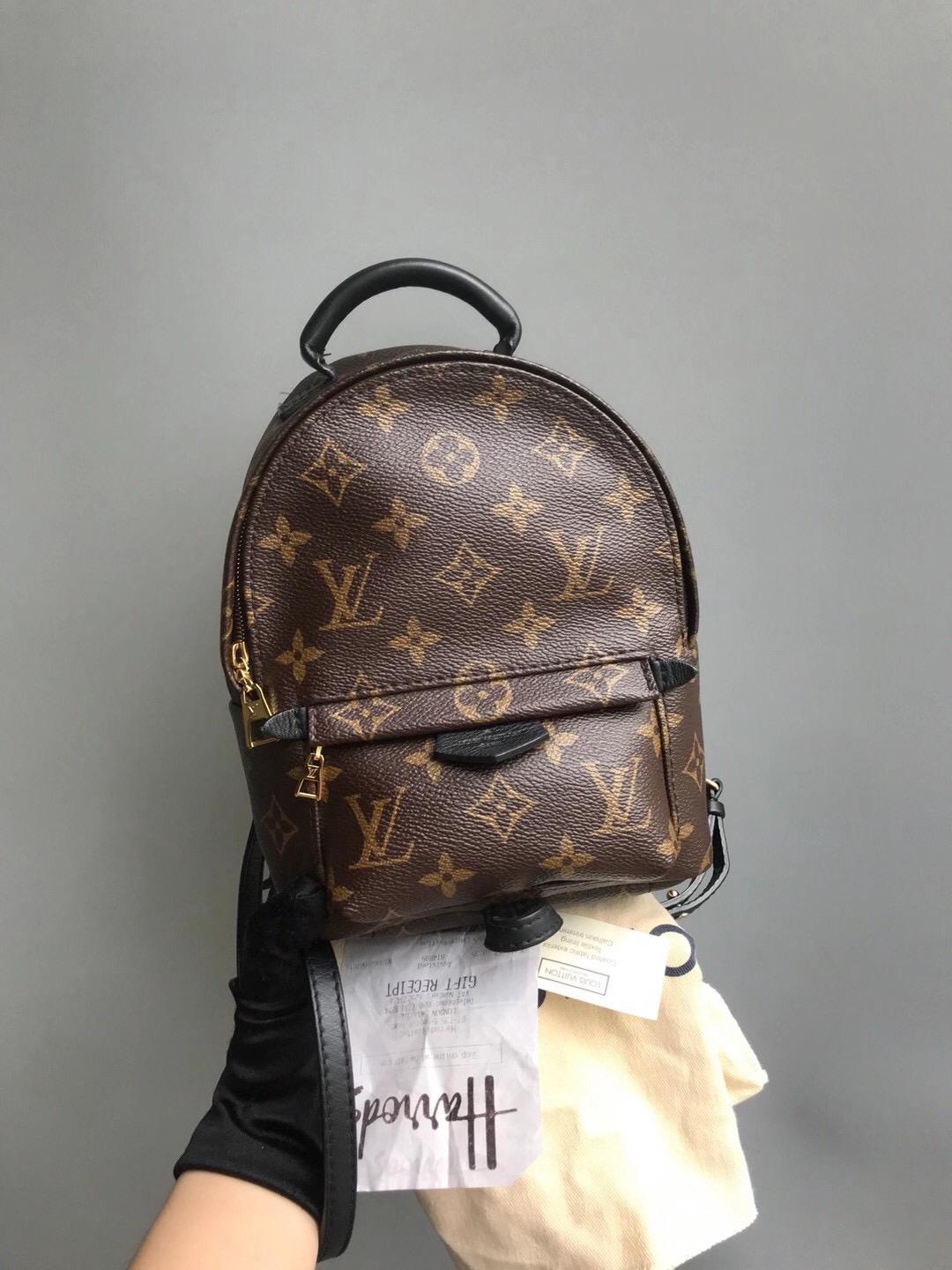Louis-Vuitton Palm Springs Monogram Mini Canvas Backpack